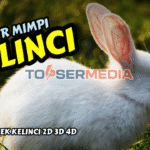 Kode-Alam-Kelinci-Pasaran-2D-3D-4D