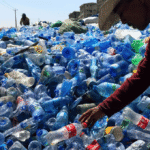 Harga Botol Plastik Bekas per Kg Ukuran Serta Jenis-jenisnya