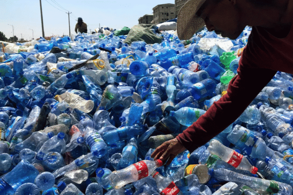 Harga Botol Plastik Bekas per Kg Ukuran Serta Jenis-jenisnya