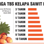 Harga CPO KPBN Februari 2026: Tren Terkini, Faktor Pengaruh, dan Dampak ke Petani