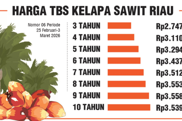 Harga CPO KPBN Februari 2026: Tren Terkini, Faktor Pengaruh, dan Dampak ke Petani