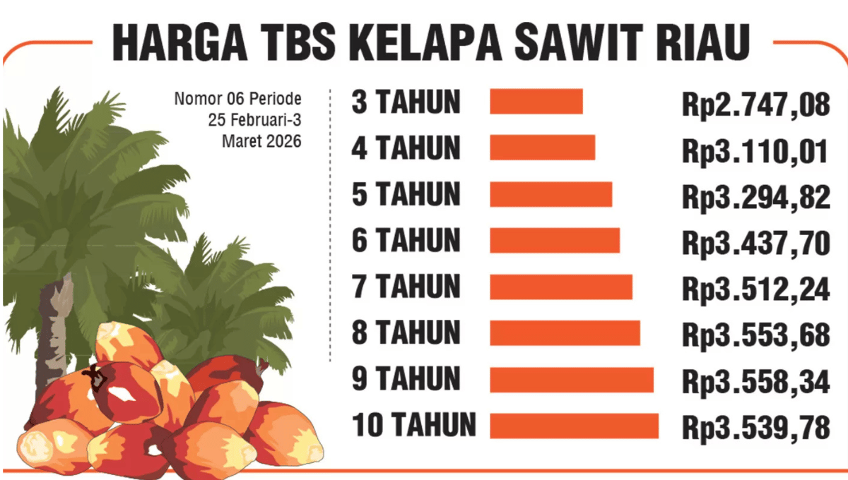 Harga CPO KPBN Februari 2026: Tren Terkini, Faktor Pengaruh, dan Dampak ke Petani