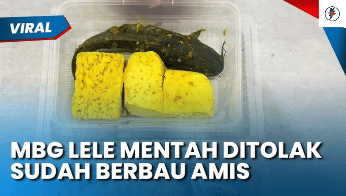 Viral Menu MBG Lele Mentah: Fakta dan Klarifikasi Lengkap