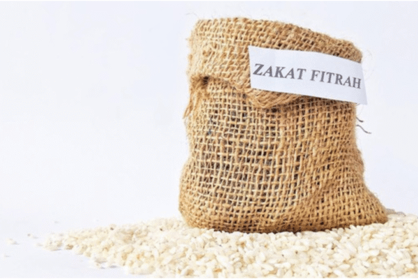 Apakah Bayi Baru Lahir Wajib Dibayarkan Zakat Fitrahnya? Penjelasan Hukum dan Ketentuannya