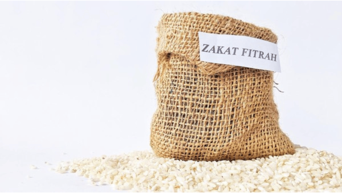 Apakah Bayi Baru Lahir Wajib Dibayarkan Zakat Fitrahnya? Penjelasan Hukum dan Ketentuannya